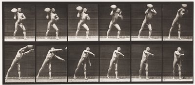 Levy 311. 75-lb:n kallion nostaminen, 1885 tekijältä Eadweard Muybridge
