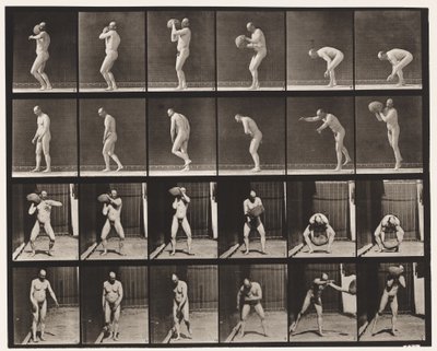 Levy 312. Healing 75-lb rock tekijältä Eadweard Muybridge