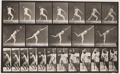 Levy 316. 20-lb:n kallion nostaminen, 1885 tekijältä Eadweard Muybridge