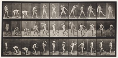 Levy 317. Nostaa 70-lb:n kiveä tekijältä Eadweard Muybridge