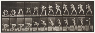 Levy 318. 75-lb:n kiven nostaminen, 1872-1885 tekijältä Eadweard Muybridge