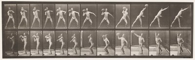 Levy 319. 75 lb:n kiven nostaminen tekijältä Eadweard Muybridge