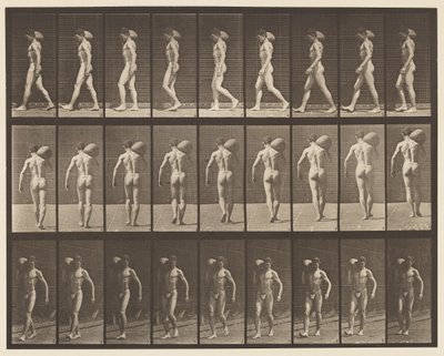 Levy 31. Kävely, 75-lb:n kiven kantaminen oikealla olkapäällä tekijältä Eadweard Muybridge