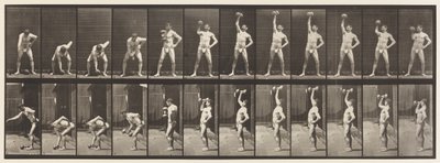 Lauta 320. 50 lb:n käsipainon nostaminen tekijältä Eadweard Muybridge