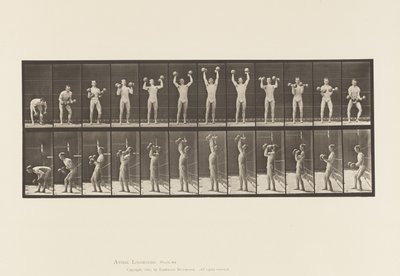 Lauta 322. Mies nostaa käsipainoja tekijältä Eadweard Muybridge