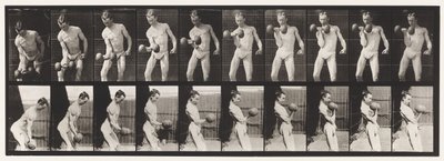 Levy 324. Curling 50-lb. Käsipaino, malli, 3/4 pituus tekijältä Eadweard Muybridge