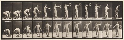 Levy 326. Nosto 50-lb. Käsipainokello käsivarren pituus tekijältä Eadweard Muybridge