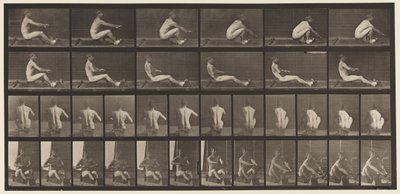 Lauta 328. Soutu tekijältä Eadweard Muybridge