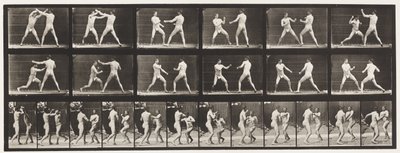 Lauta 329. Nyrkkeily; (Kengät) tekijältä Eadweard Muybridge