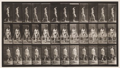 Lauta 32. Kävely, vesiämpäri kantoi kummassakin kädessä tekijältä Eadweard Muybridge
