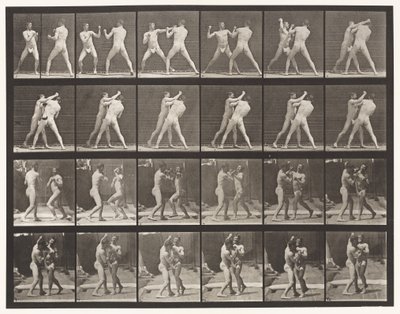Lauta 330. Nyrkkeily; Cross-Counter (kengät) tekijältä Eadweard Muybridge