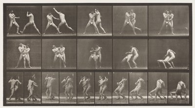 Levy 331. Nyrkkeily; Pysähdy Cross-buttocksille tekijältä Eadweard Muybridge