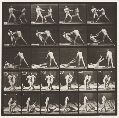 Levy 333. Nyrkkeily; 53 Knocking 52 Down (kengät) tekijältä Eadweard Muybridge