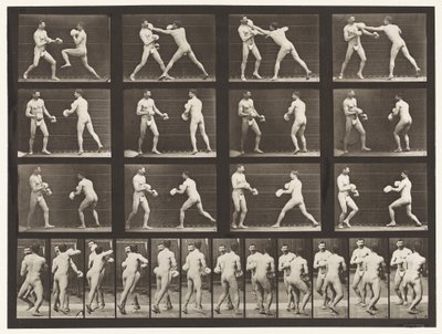 Lauta 335. Nyrkkeily; Käsineiden kanssa tekijältä Eadweard Muybridge