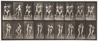 Levy 337. Nyrkkeily; Avoin käsi tekijältä Eadweard Muybridge