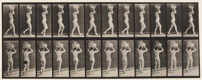 Lauta 33. Kävely, 14-lb. Kori päässä, kädet kohotettuina, 1872-1885 tekijältä Eadweard Muybridge