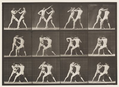 Lauta 340. Nyrkkeily; Avoin käsi tekijältä Eadweard Muybridge