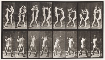 Levy 341. Nyrkkeily; Avoin käsi tekijältä Eadweard Muybridge