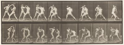 Levy 342. Nyrkkeily; Avoin käsi, 1872-1885 tekijältä Eadweard Muybridge