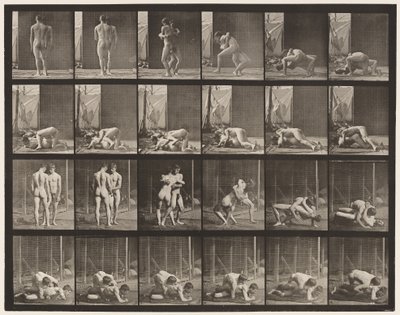 Levy 346. Paini, lukko tekijältä Eadweard Muybridge