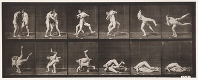 Levy 347. Paini, kreikkalais-roomalainen, 1885 tekijältä Eadweard Muybridge