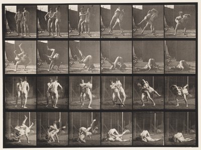 Levy 348. Paini, kreikkalais-roomalainen, 1885 tekijältä Eadweard Muybridge
