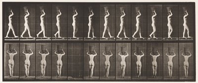 Lauta 34. Kävely tekijältä Eadweard Muybridge