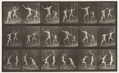 Lauta 350. Aidat tekijältä Eadweard Muybridge