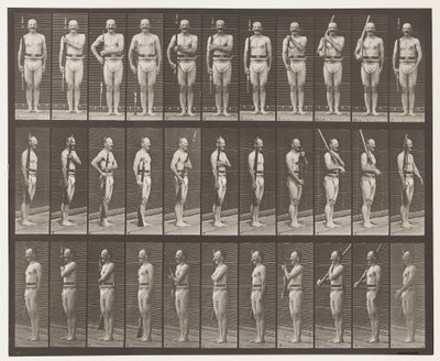 Levy 352. Olkapää, järjestys ja kantovarret tekijältä Eadweard Muybridge