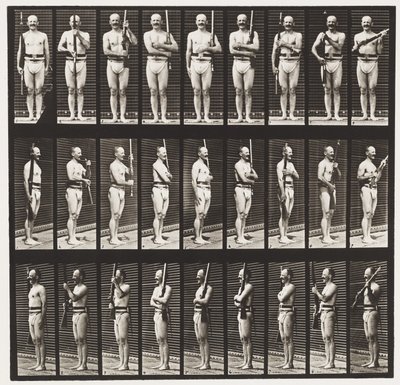 Levy 353. Tukivarret ja käsivarsien portti, 1872-1885 tekijältä Eadweard Muybridge
