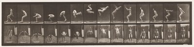 Levy 362. Takaisin kuperkeikka tekijältä Eadweard Muybridge
