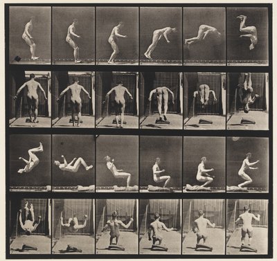 Levy 363. Juokseva kuperkeikka, 1885 tekijältä Eadweard Muybridge