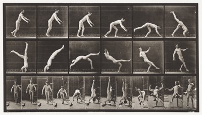 Levy 365. Pääjousi, lentävä kyyhkynen häiritsee tekijältä Eadweard Muybridge