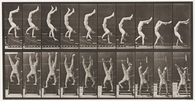 Levy 368. Acrobat, Laskevat portaat käsissä tekijältä Eadweard Muybridge