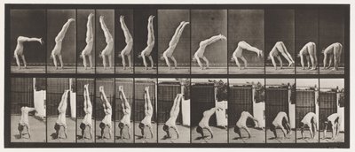Levy 371. Acrobat, pystypaine ylös tekijältä Eadweard Muybridge