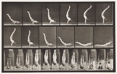 Levy 372. Acrobat, vaakapaine ylös tekijältä Eadweard Muybridge