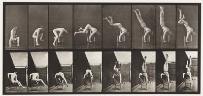 Levy 373. Acrobat, paina ylös tuolista tekijältä Eadweard Muybridge