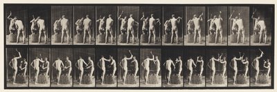 Levy 375. Sepät, kaksi mallia, Vasara alasin tekijältä Eadweard Muybridge