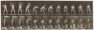 Levy 376. Seppä, Vasara alasin, kaksi kättä, 1872-1885 tekijältä Eadweard Muybridge