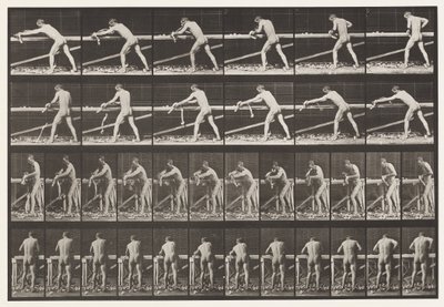 Levy 379. Puuseppä, höyläys lautaa, 1872-1885 tekijältä Eadweard Muybridge