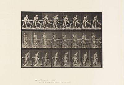 Levy 380. Puuseppä, sahaus, 1872-1885 tekijältä Eadweard Muybridge