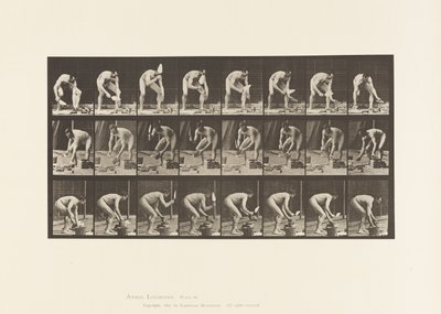 Levy 381. Mason, tiilen laskeminen tekijältä Eadweard Muybridge