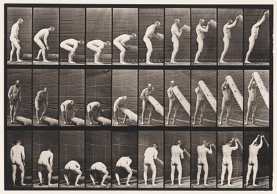 Levy 382. Puun nostopää, 1872-1885 tekijältä Eadweard Muybridge