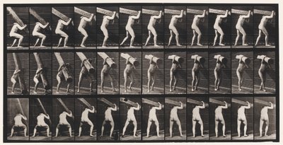 Levy 383. Puun nostaminen olalla tekijältä Eadweard Muybridge