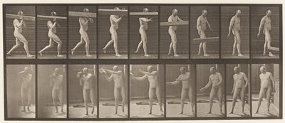 Levy 384. Puun nostaminen olalla tekijältä Eadweard Muybridge