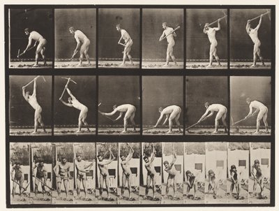 Levy 385. Maanviljelijä, käyttäen hakkua, 1872-1885 tekijältä Eadweard Muybridge