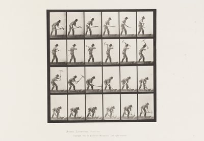 Levy 386. Kaivostyöntekijä tekijältä Eadweard Muybridge