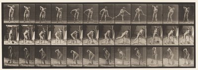 Kilpi 387. Maanviljelijä, käyttää pitkävartista lapiota tekijältä Eadweard Muybridge