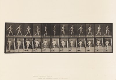 Levy 389. Farmer, Scattering Seed, 1872-1885 tekijältä Eadweard Muybridge