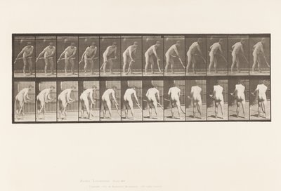 Levy 390. Maanviljelijä, niitto ruohoa tekijältä Eadweard Muybridge